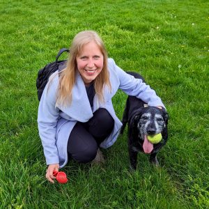 A beautiful senior dog with a tennis ball in his mouth poses with his walker, Steph.