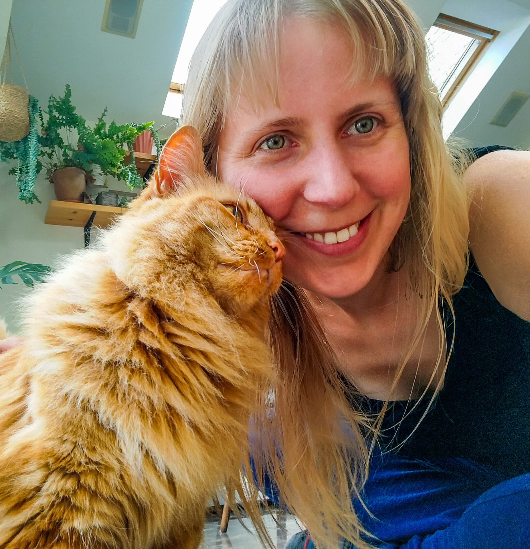 A beautiful ginger cat cuddles next to his pet sitter, Steph.