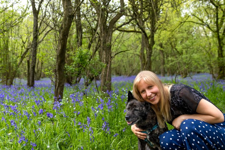 A happy black jindo dog poses with his owner in a bluebell woodland in Cambridgeshire.